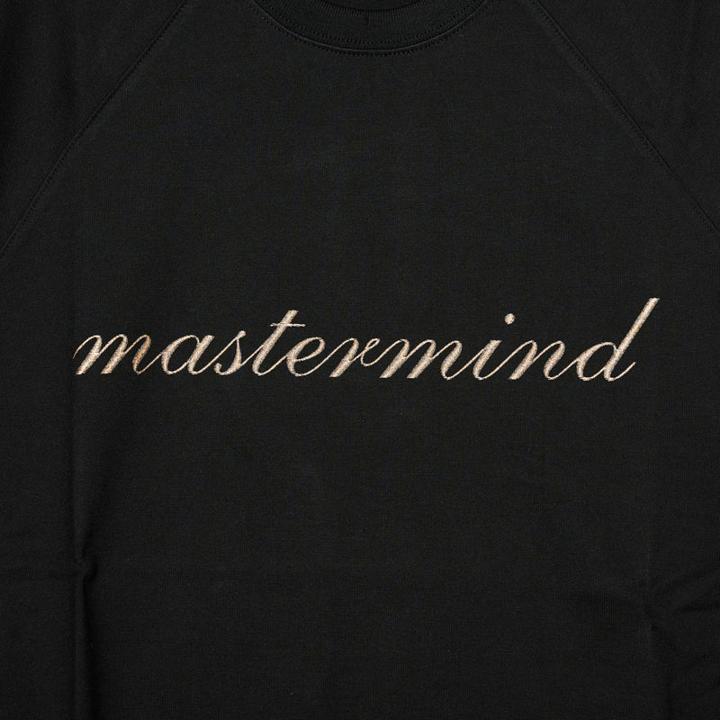 EMBROIDERY-ISH BASEBALL TEE<br>BLACK×BLACK SLEEVE